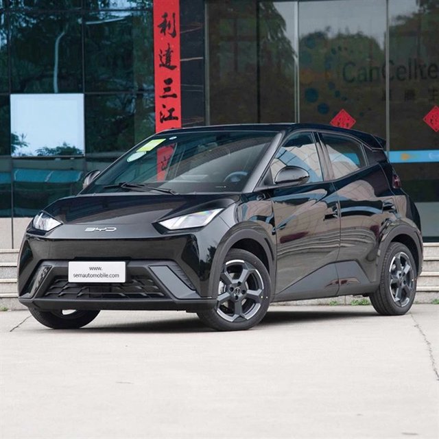 BYD Seagull — ảnh 2